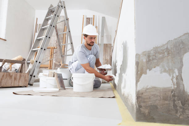 Best Mold Remediation for Rental Properties  in USA